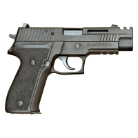 KSC P226R EX-P Custom HW - Limited Edition