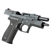 KSC P226R EX-P Custom HW - Limited Edition