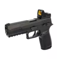 Laylax P320 Full Size Multi-Mount Plate